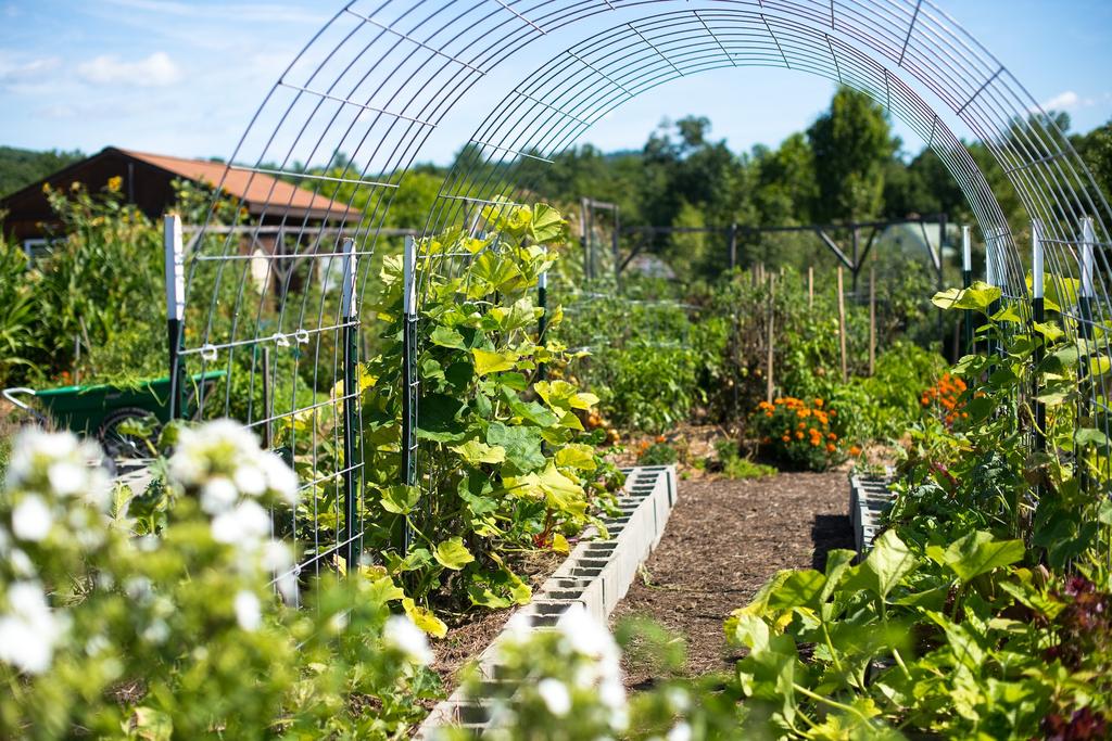 The Ballad of Spring Gardening, Biodiversity, and Eco Mindfulness