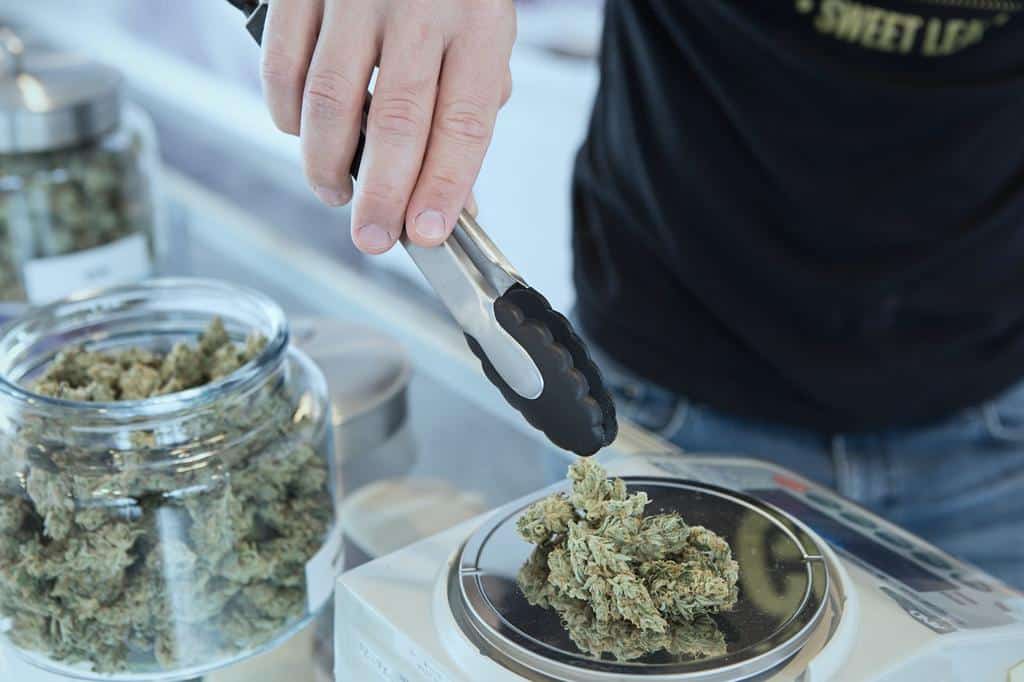 person portioning cannabis for sale