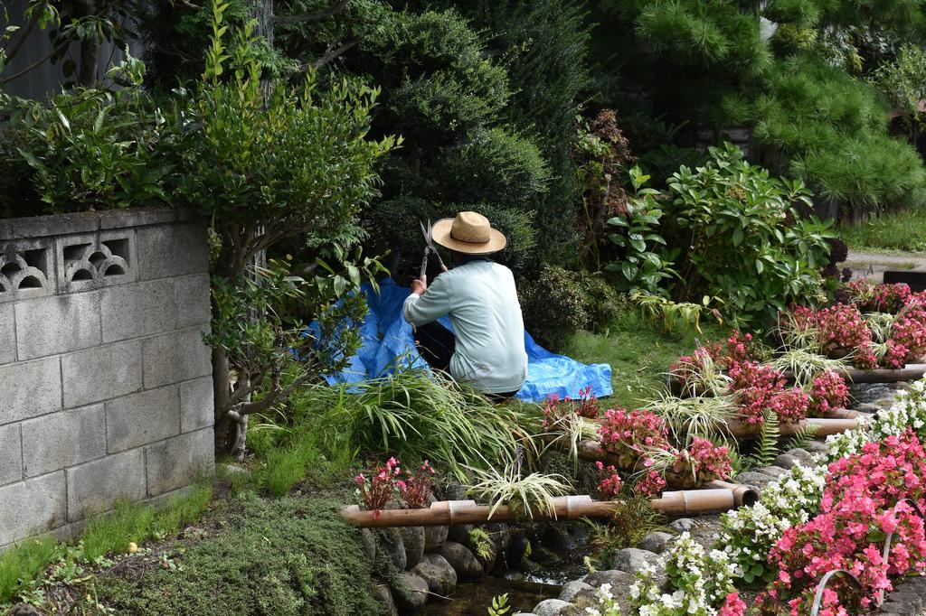 person gardening surrounded by flowery shrubs and an irrigation channel