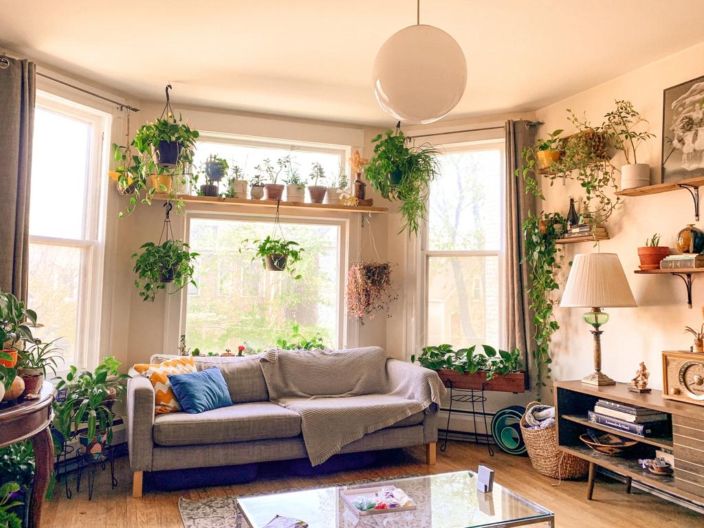 indoor gardening setup