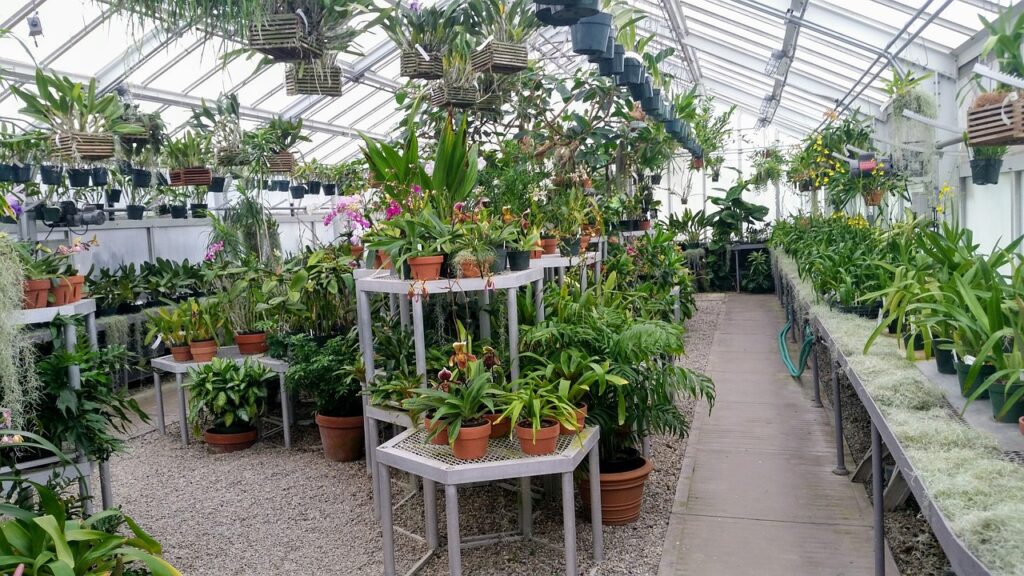 Greenhouse