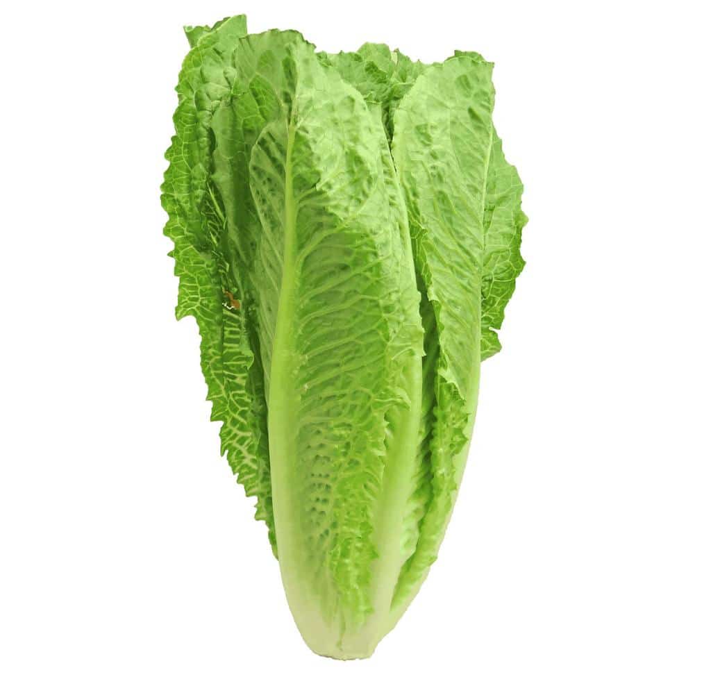 Boost Your Health with These Super Healthy Leafy Greens