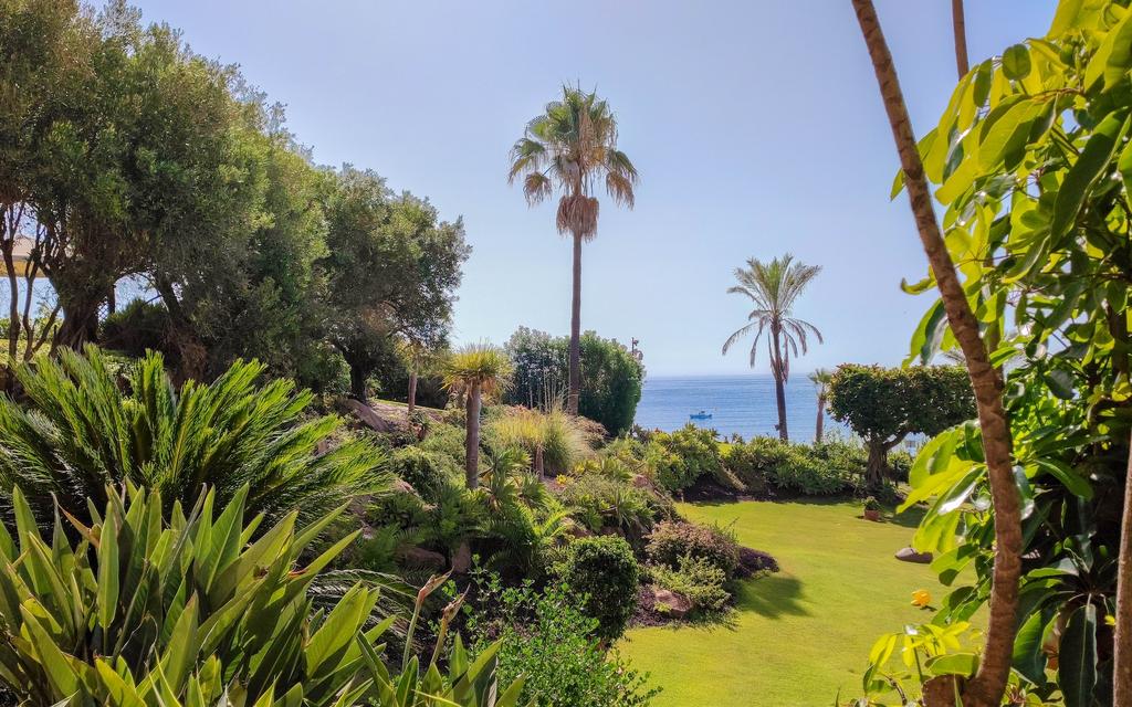 Reimagining Green Spaces: A Glimpse of Landscaping Services' Lawn Care