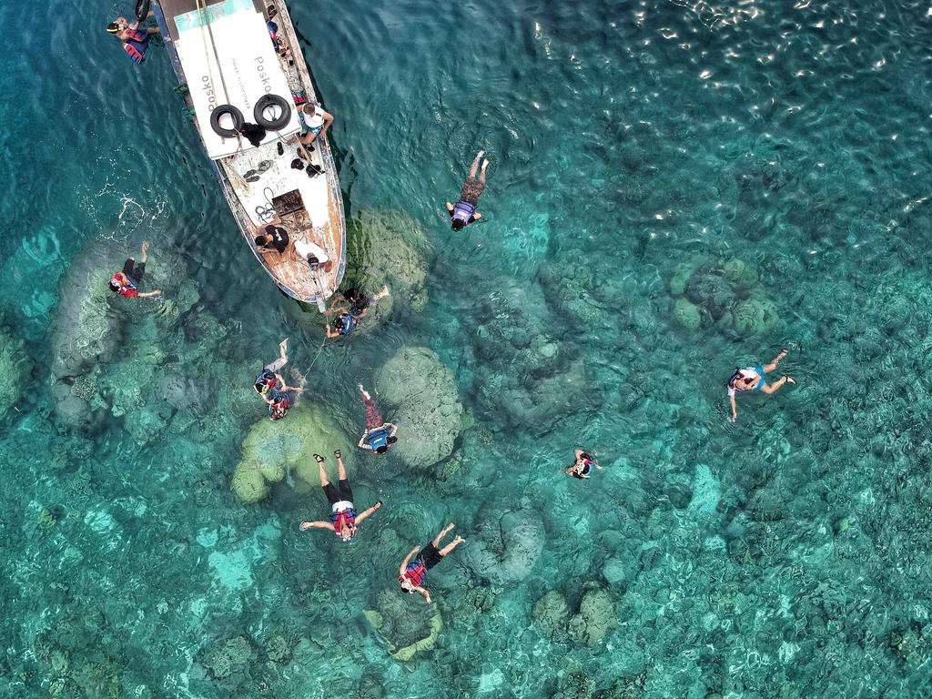 Sustainable Snorkeling and Diving: Preserving Underwater Biodiversity