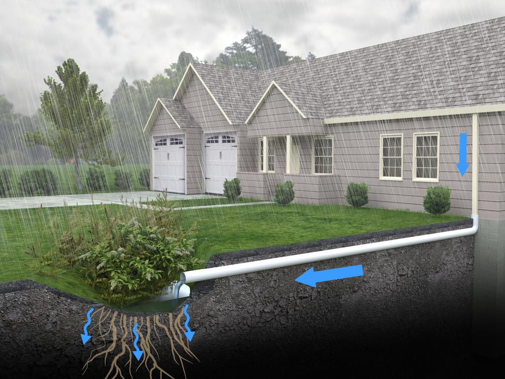 Creating Tranquil Havens: DIY Rain Gardens for Relaxation and Mitigation