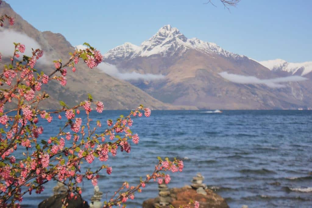 Lake Wakatipu New Zealand