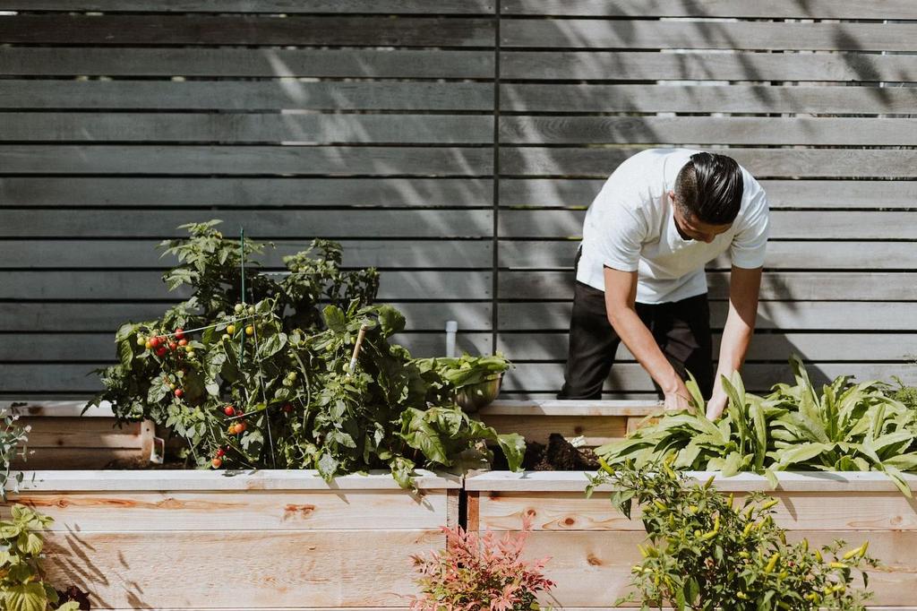 Why Your Home Garden Is the Cornerstone of Sustainable Living
