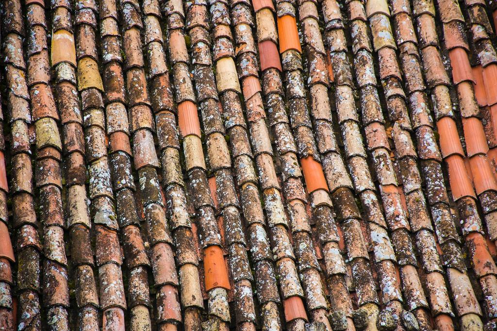 damaged rooftop shingles