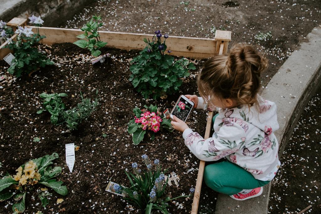 little girl gardening