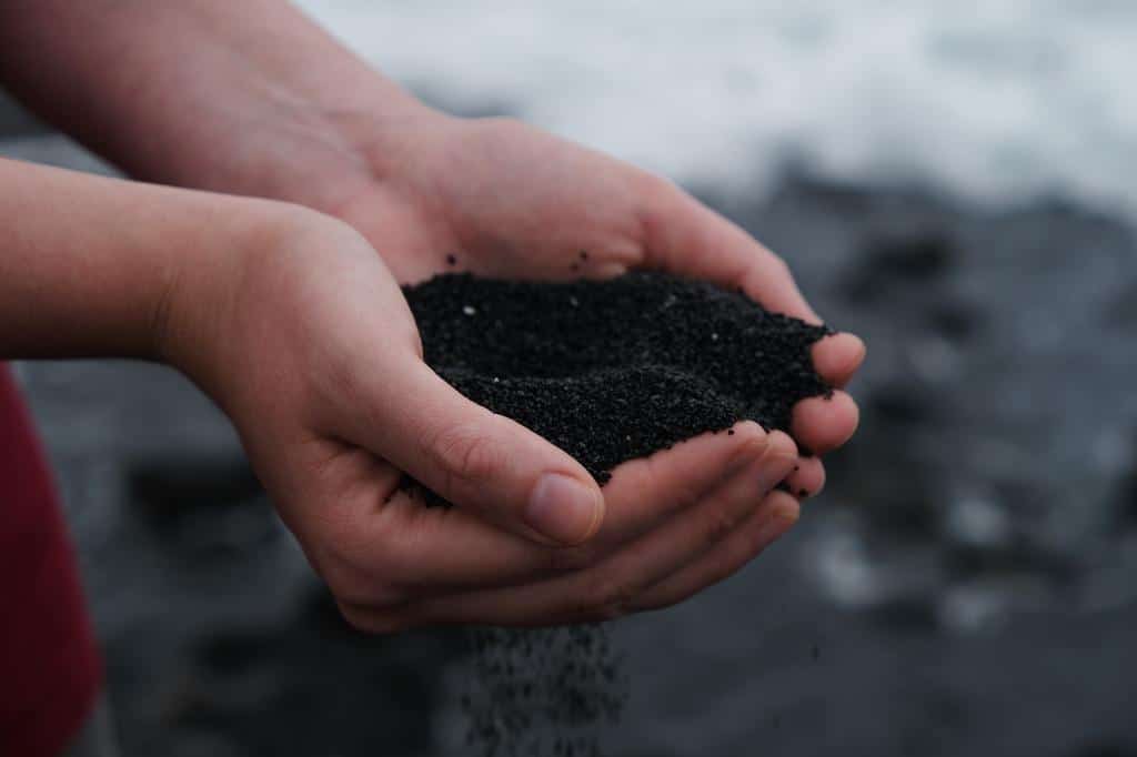 nutrient dense soil cupped in hands