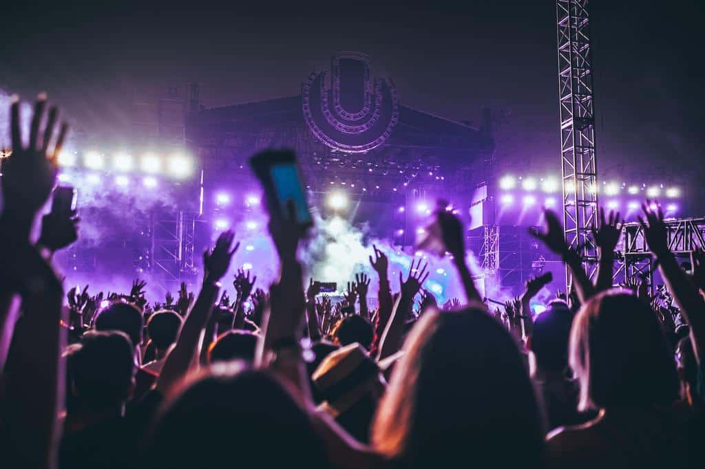 audience at a music concert
