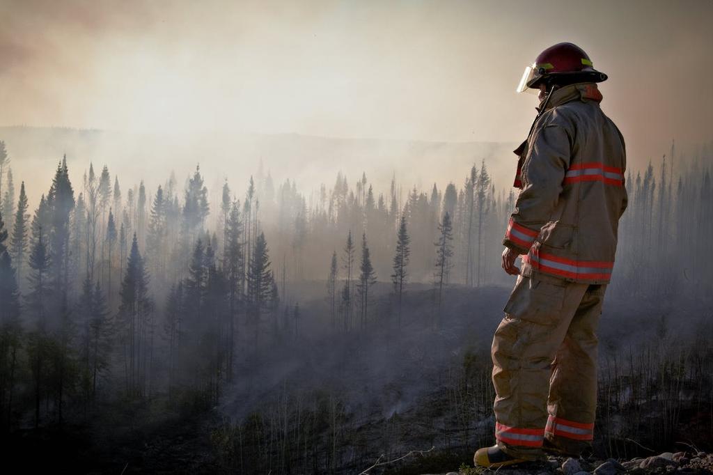 firefighter overllooking hazy forest