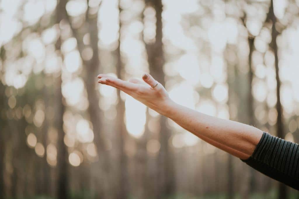 an outstretched hand