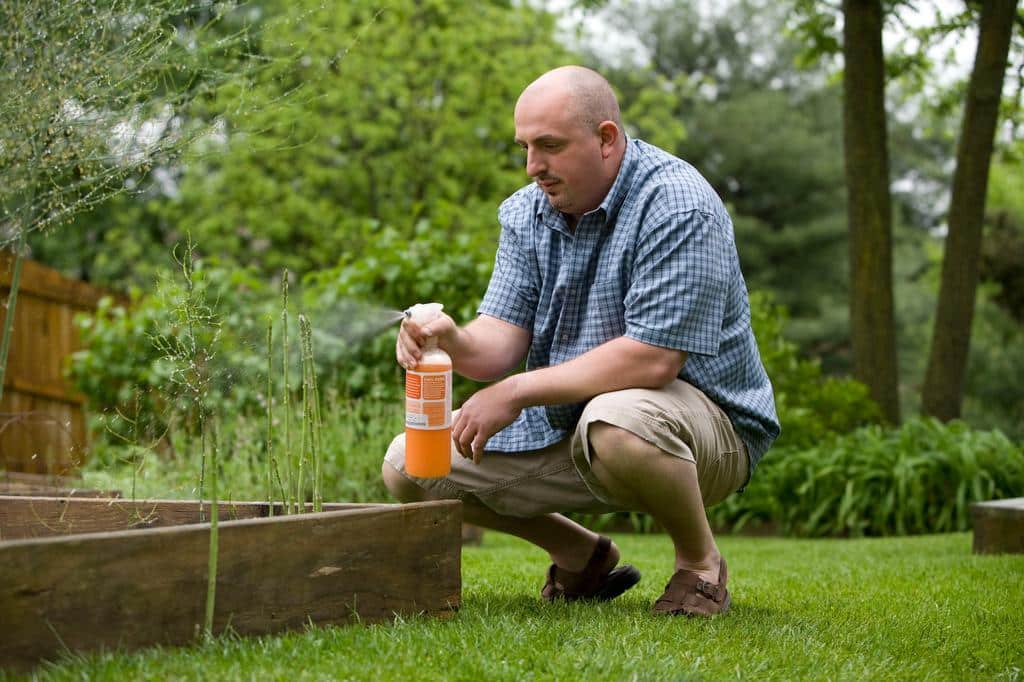 person using bug spray