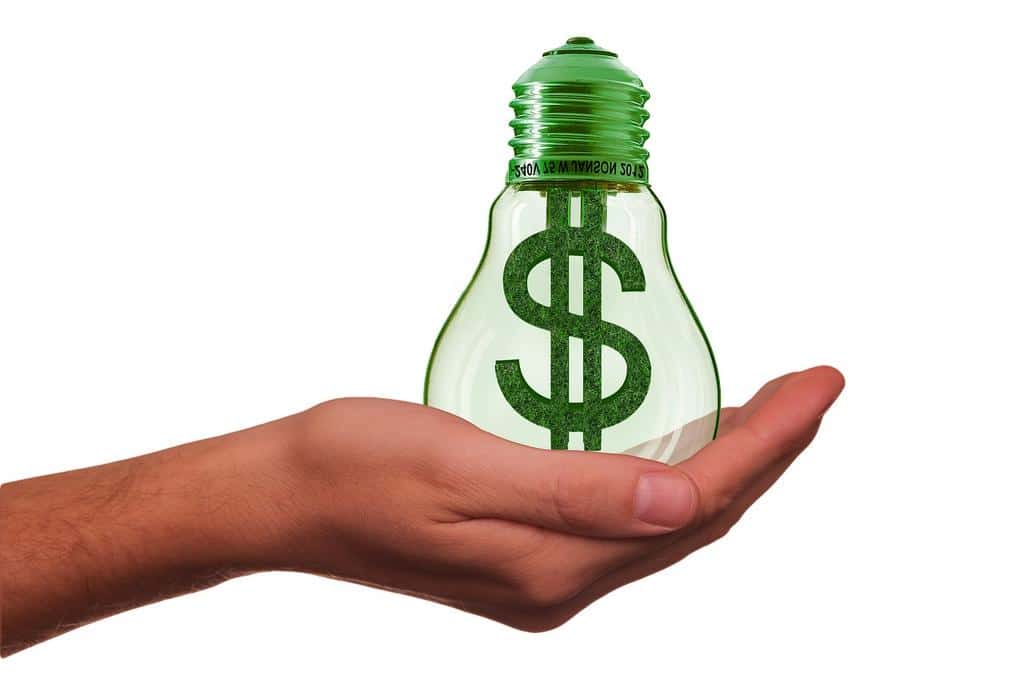 Data-Driven Decisions for Sustainable Growth