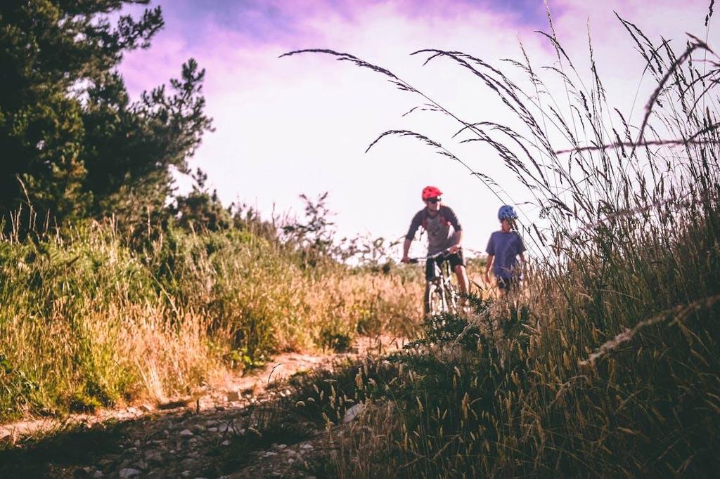 If you are eager to help save the planet, you will want to invest in an e-bike or e-trike to commute, run errands, or even just have fun on the weekends.