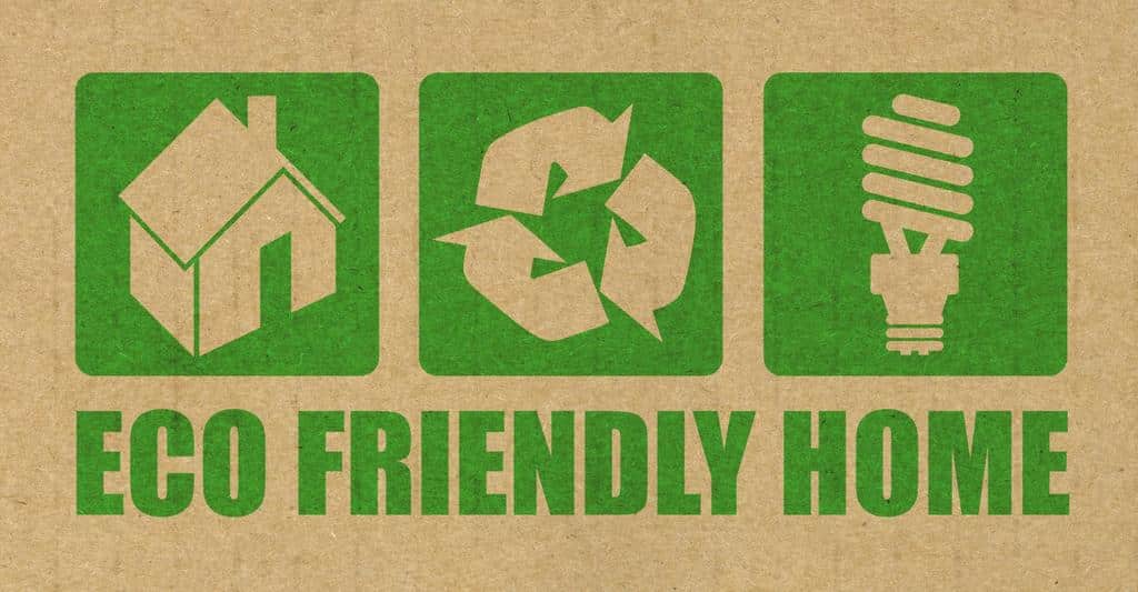Image showcasing Eco-Friendly Home Decor Trends to Watch in 2024