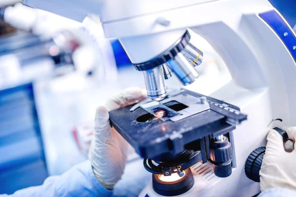 Achievements in Laboratory Data Reporting