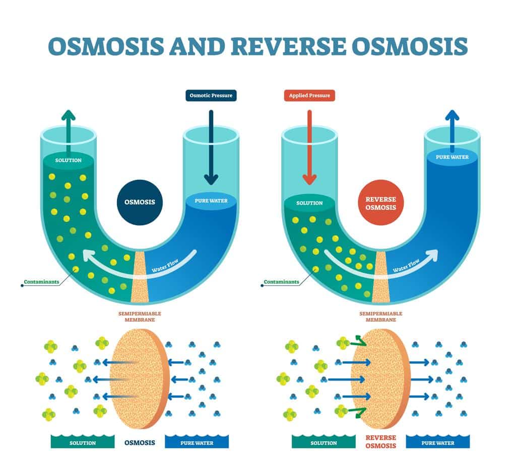Osmosis and reverse osmosis