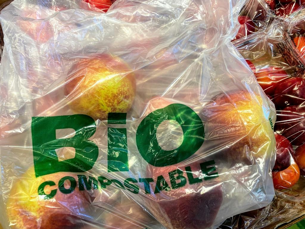 Biodegradable compostable shopping bag