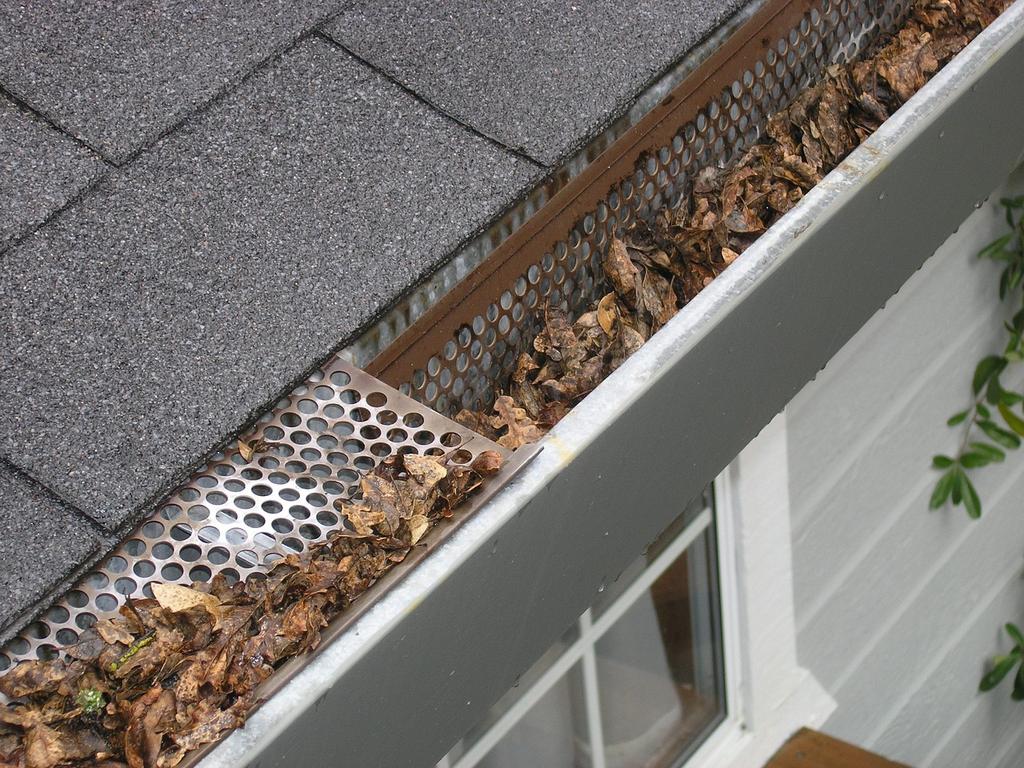 Leaves in guttering
