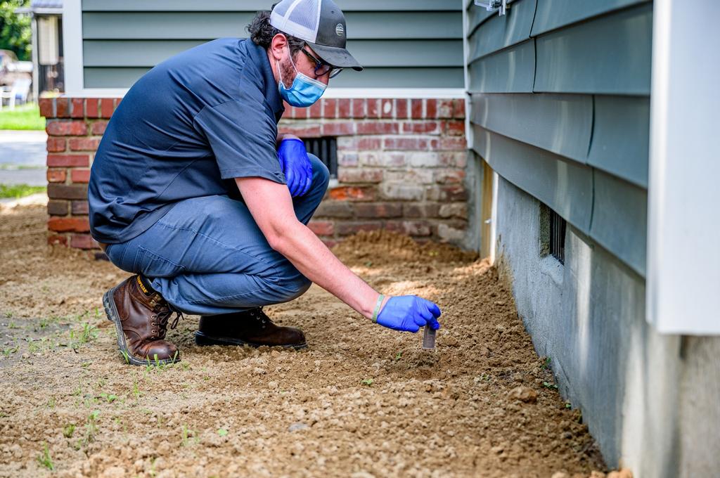 Maintain Cleanliness and Proper Sanitation