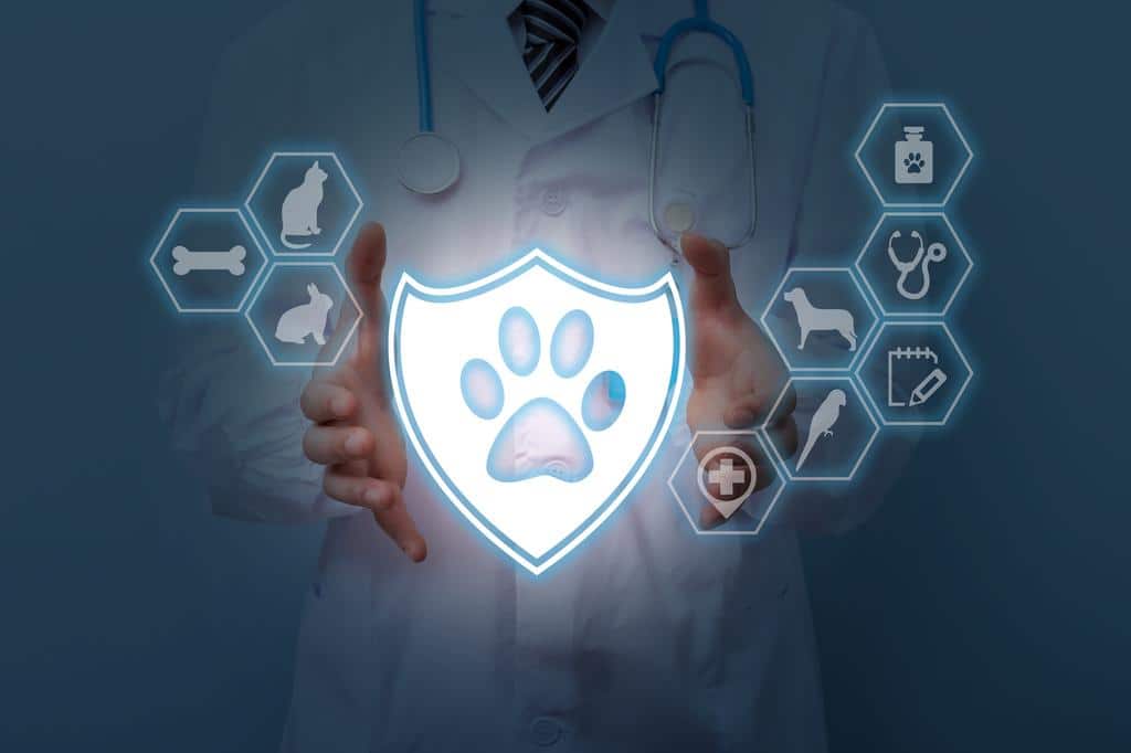 Claiming Pet Insurance Online