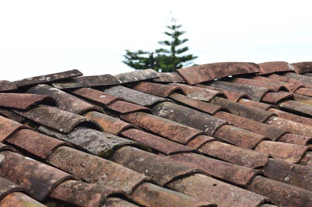 Repair roof shingles