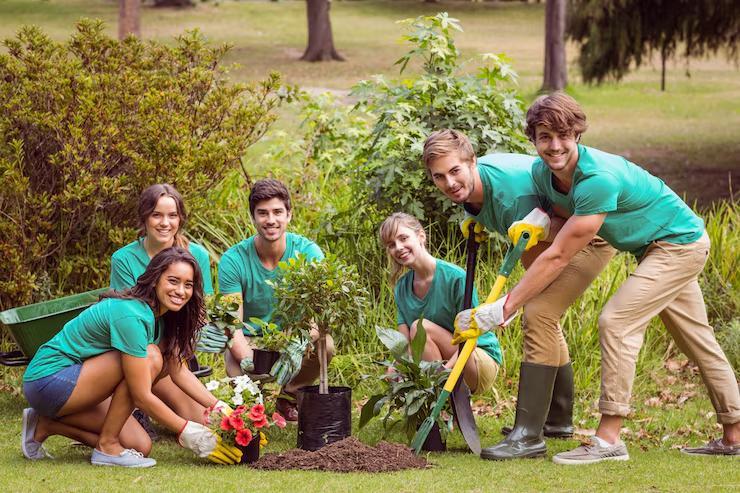 The first step in implementing an organic gardening program at work is assessing available space and resources.