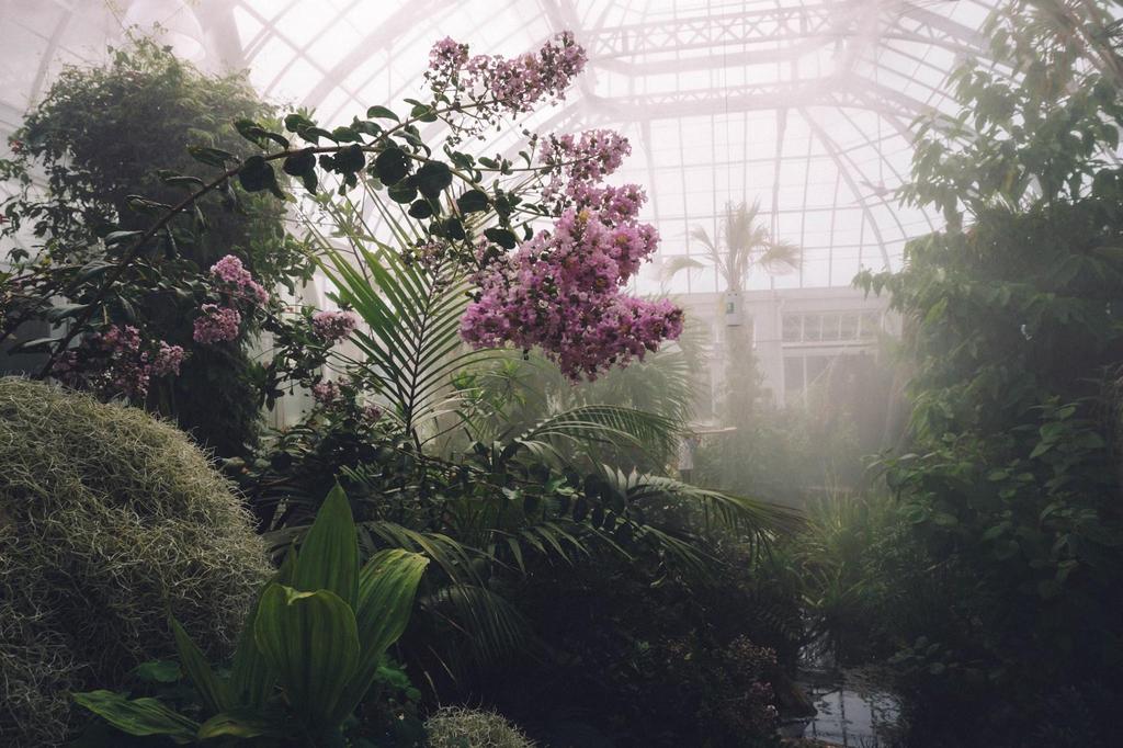 Before embarking on your greenhouse project, it’s essential to analyze the market's needs specific to your location.