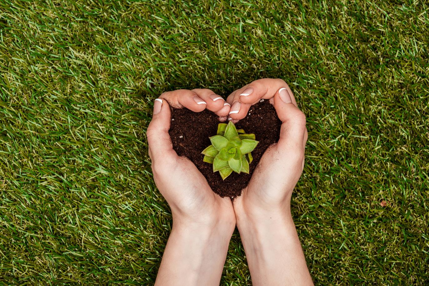 Are Patients Reporting Improved Outcomes in Nature-Focused Spaces?