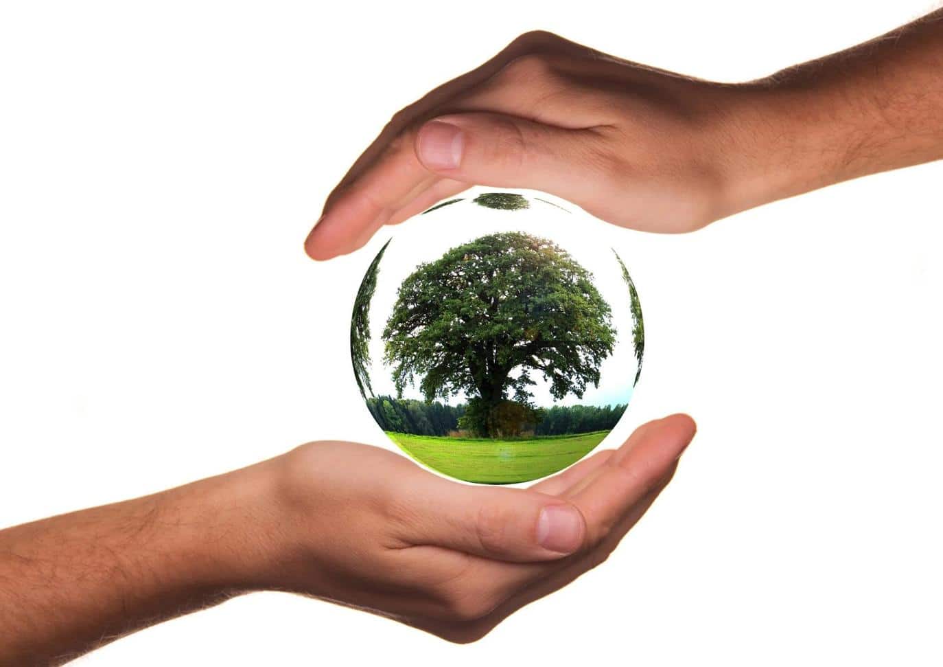 Eco-Anxiety and Beyond: The Mental Effects of Climate Shifts
