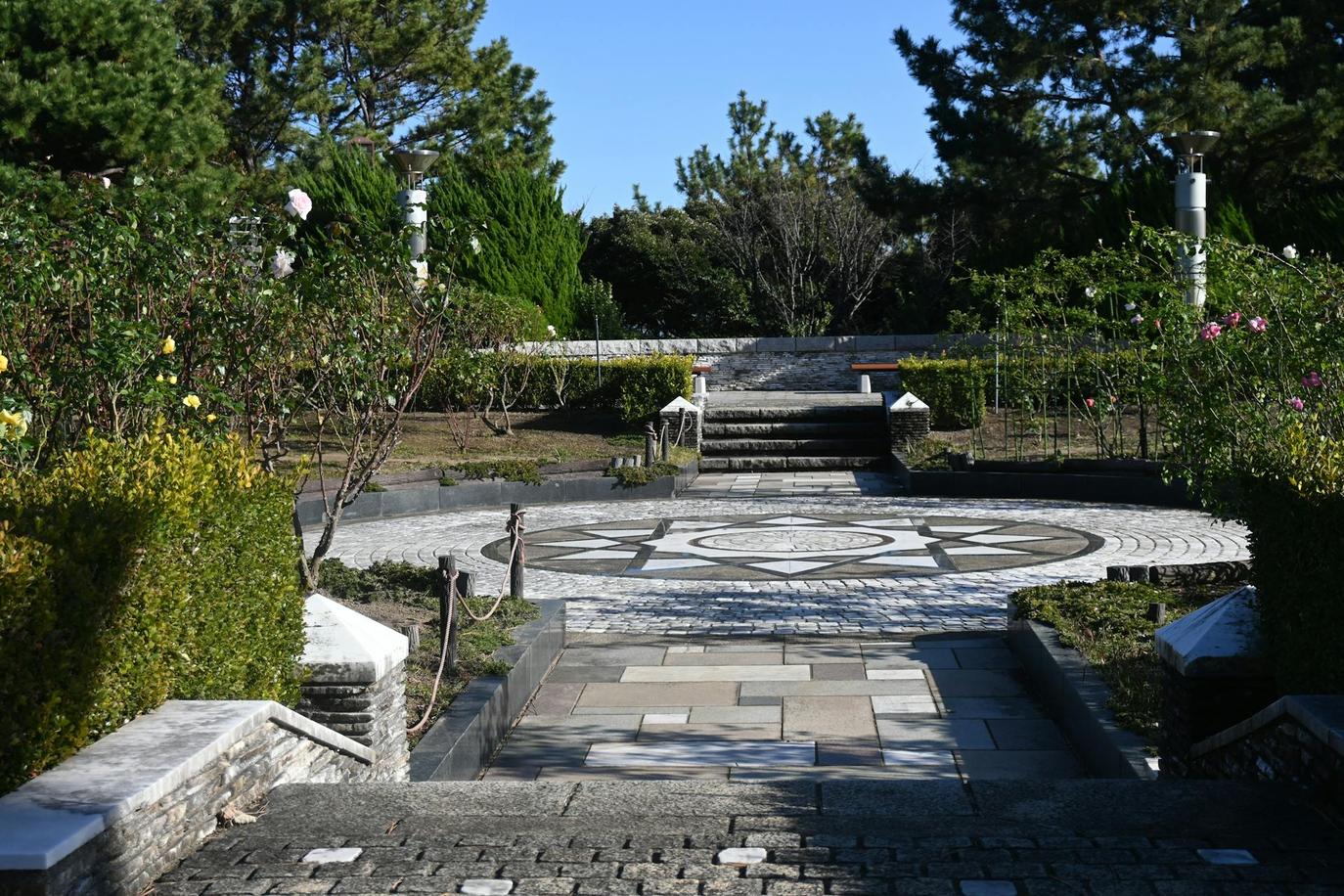 Adopting eco-friendly outdoor care is a powerful way to create a beautiful space that actively benefits the environment.