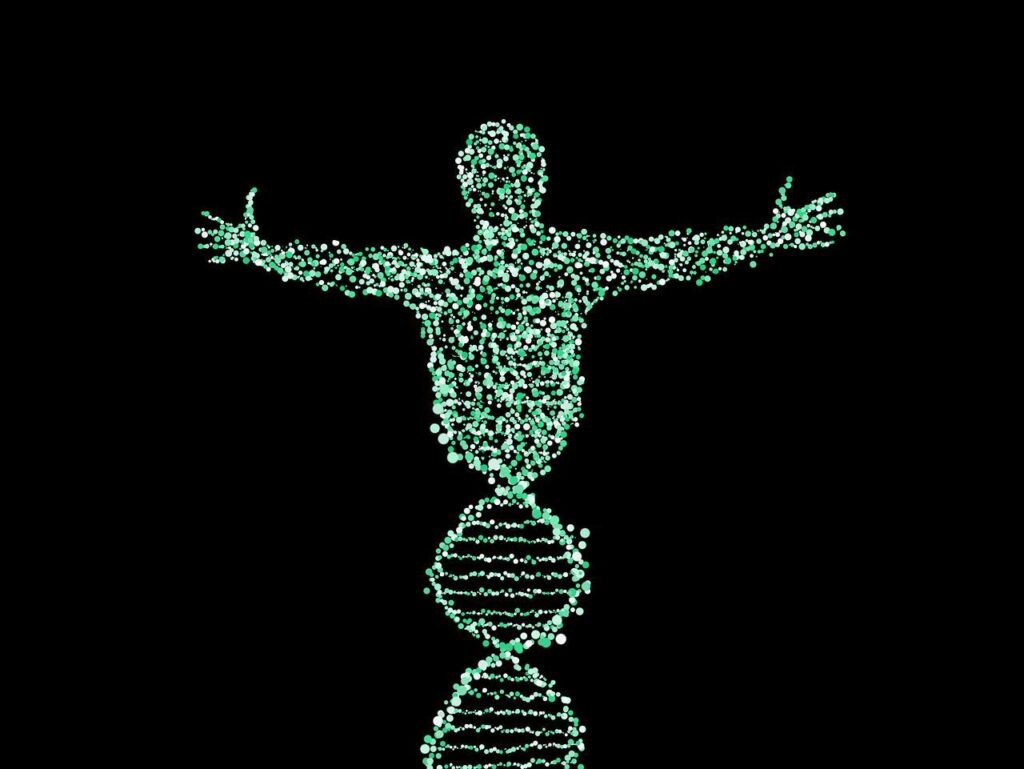 The Role of Technology in Regenerative Medicine Education