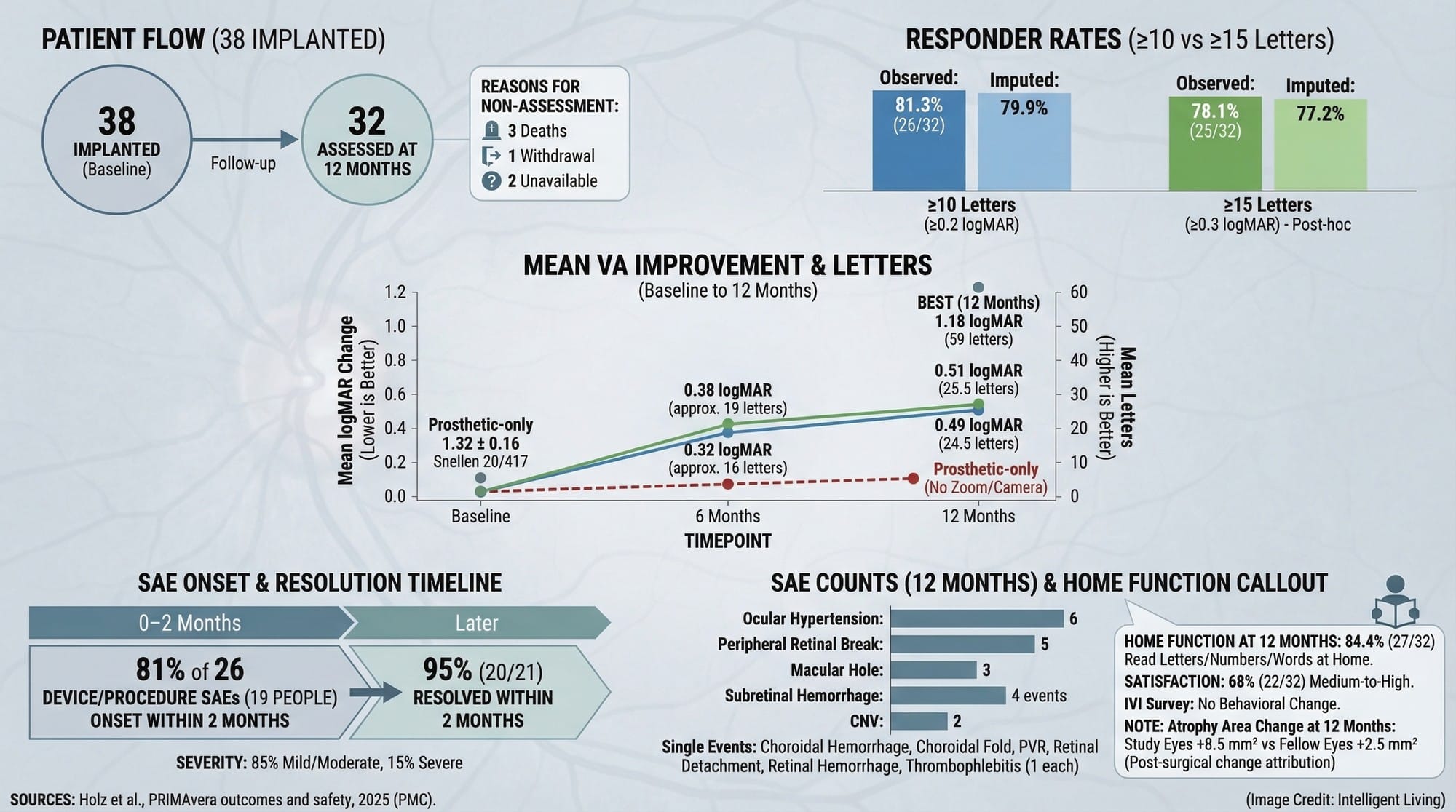 Multi-chart dashboard summarizing PRIMAvera patient flow, vision gains (letters/logMAR), responder rates, adverse event timing and types, and home-use function.