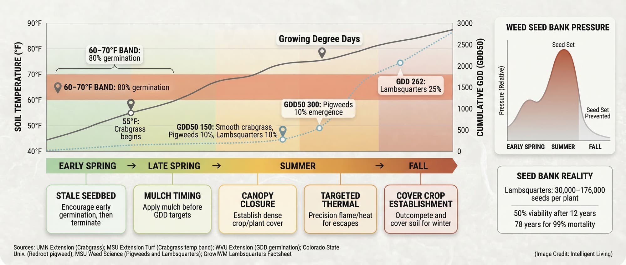 Seasonal timeline linking soil temperature and growing degree days to weed emergence and the best IWM actions.