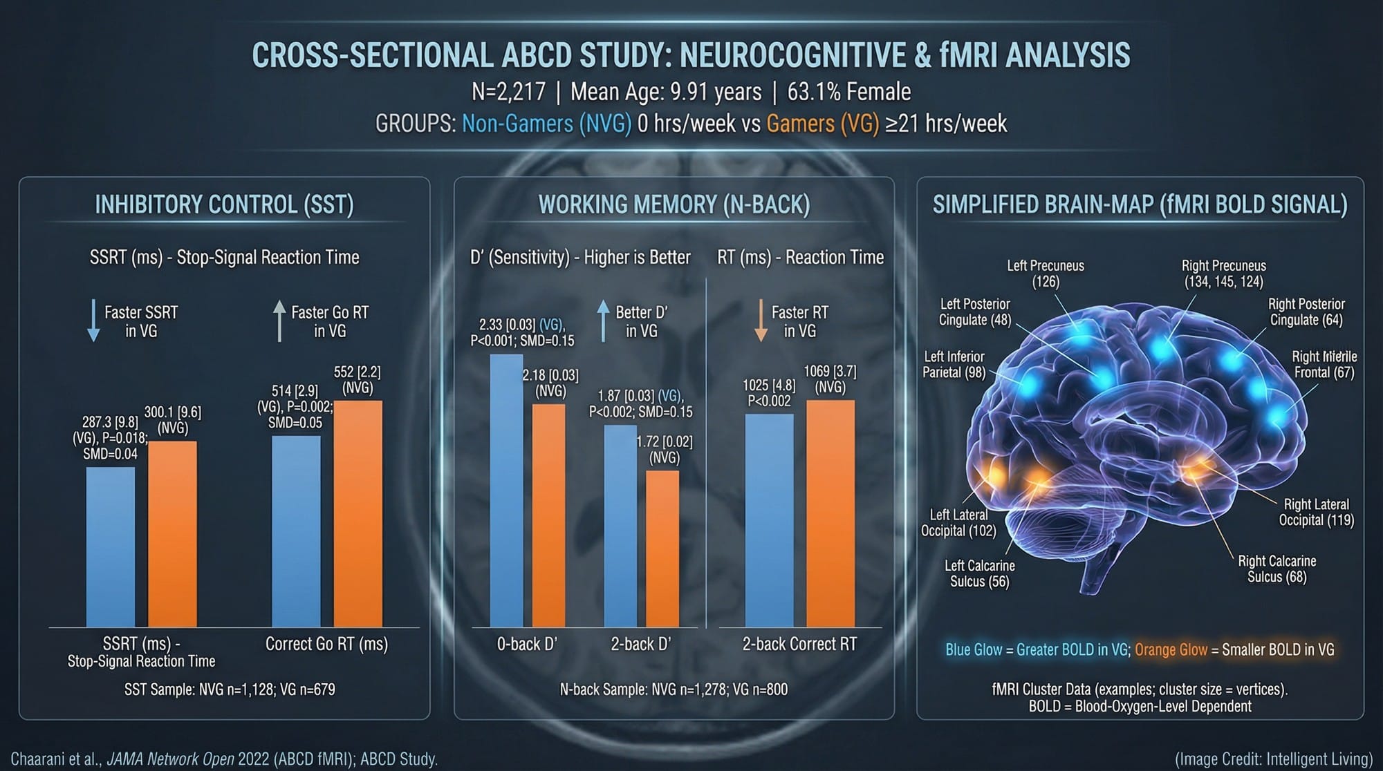 A visual dashboard comparing gamers vs non-gamers on stop-signal and n-back performance, plus a simplified brain-region activation map.