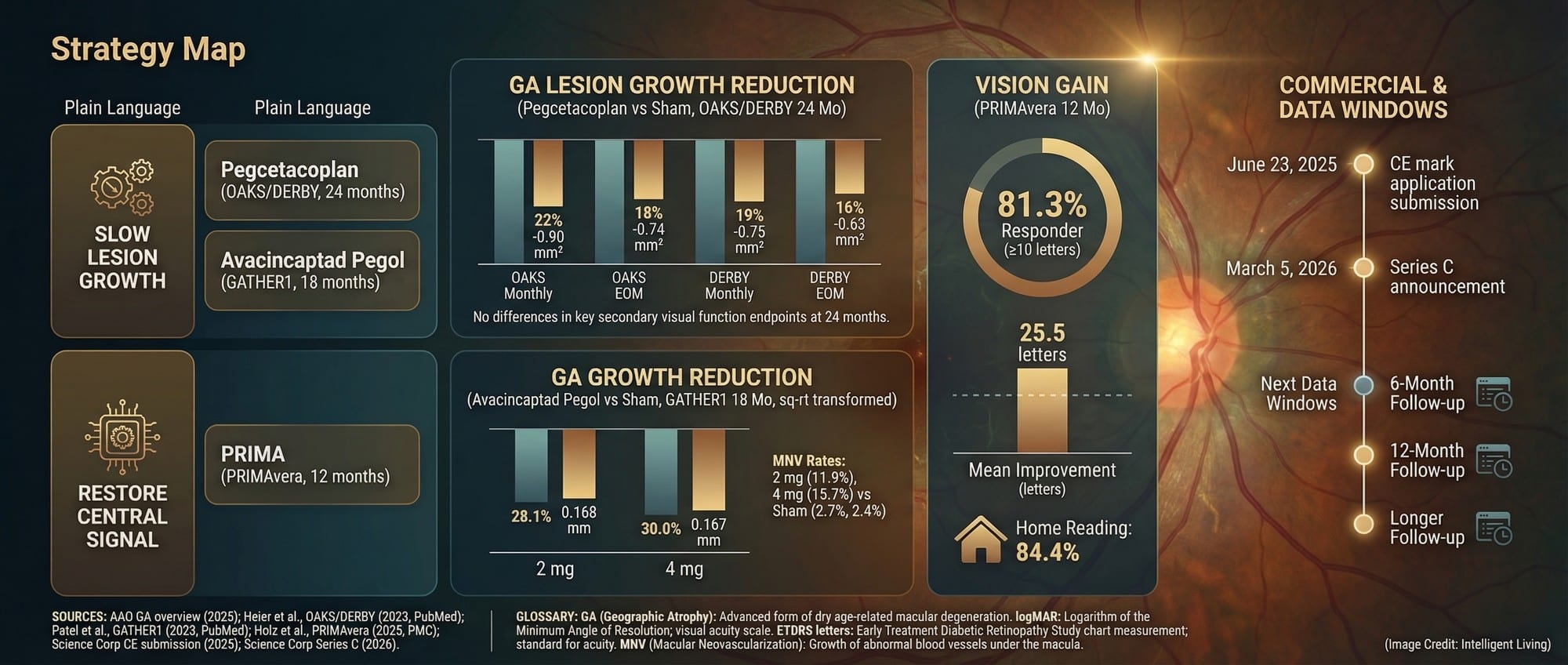 Comparative infographic showing GA prevalence, typical lesion enlargement rates, complement inhibitor trial reductions, PRIMA functional vision gains, and key commercialization dates.
