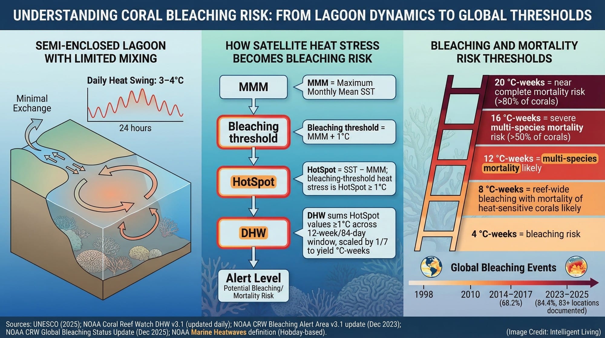 A data-rich visual explaining Tatakoto's heat-swing lagoon mechanics alongside NOAA bleaching risk metrics and alert thresholds.