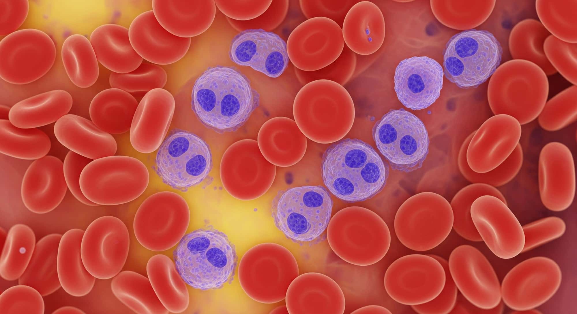 Microscopic view of healthy stem cells and blood cells, vibrant and detailed, illustrating the complexity of biological samples used in medical evaluation.