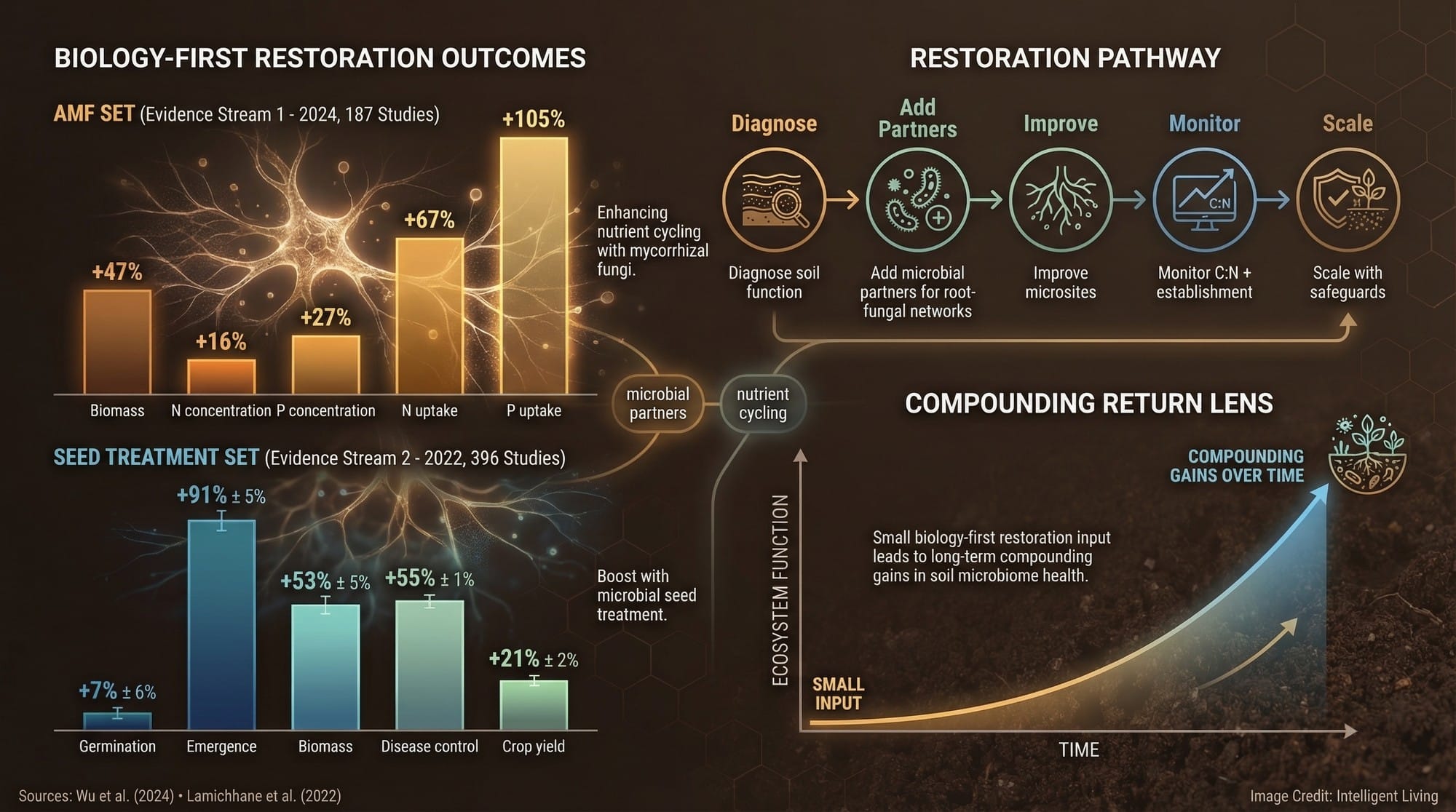 Evidence-backed restoration toolkit graphic comparing biological interventions and their measured gains.