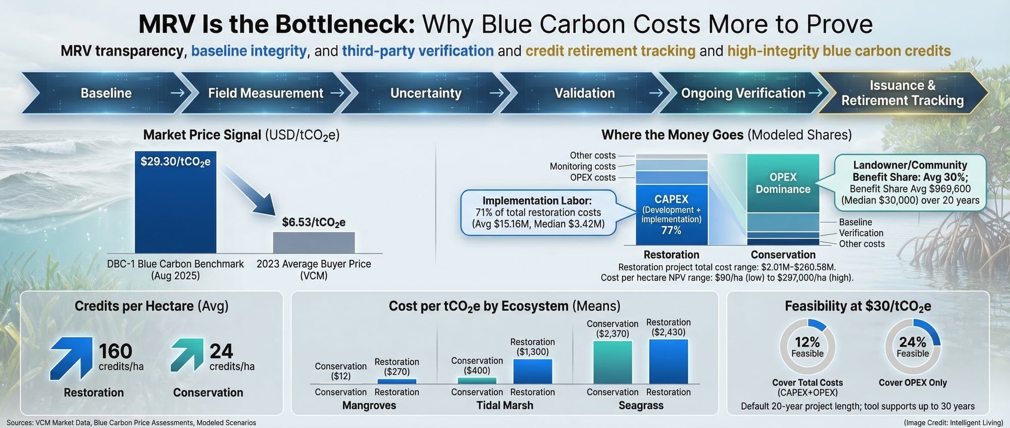 A wide infographic showing MRV steps, blue carbon pricing premium, and modeled project cost structures and feasibility gaps.