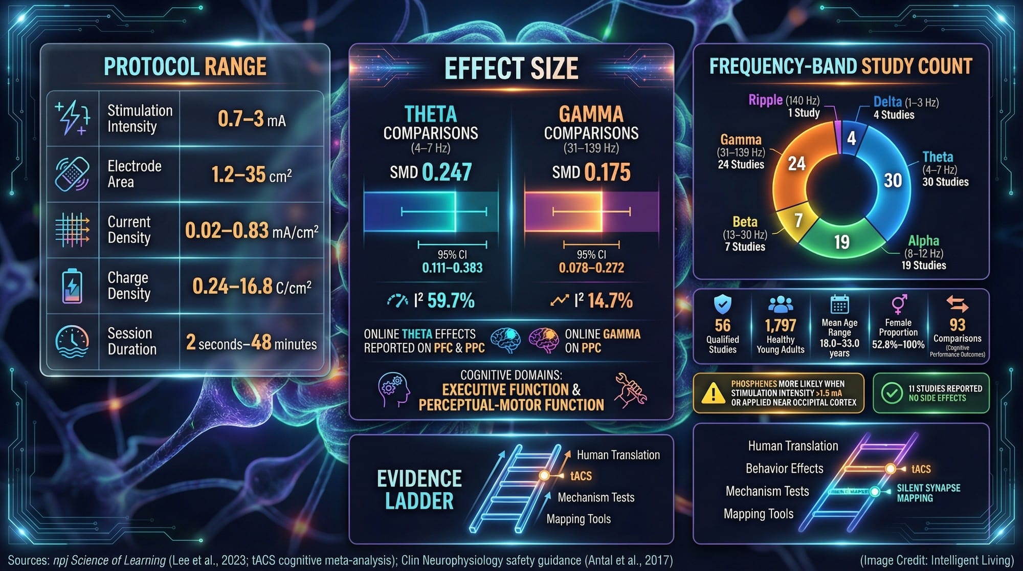 A high-detail evidence dashboard showing tACS study counts, stimulation parameter ranges, cognitive effect sizes with confidence intervals, and safety signals, framed as adult neuroplasticity research.
