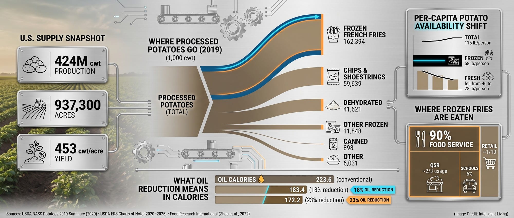 Data visualization showing U.S. potato production, processing categories, per-capita frozen potato availability, and the flow of frozen fries through food service.