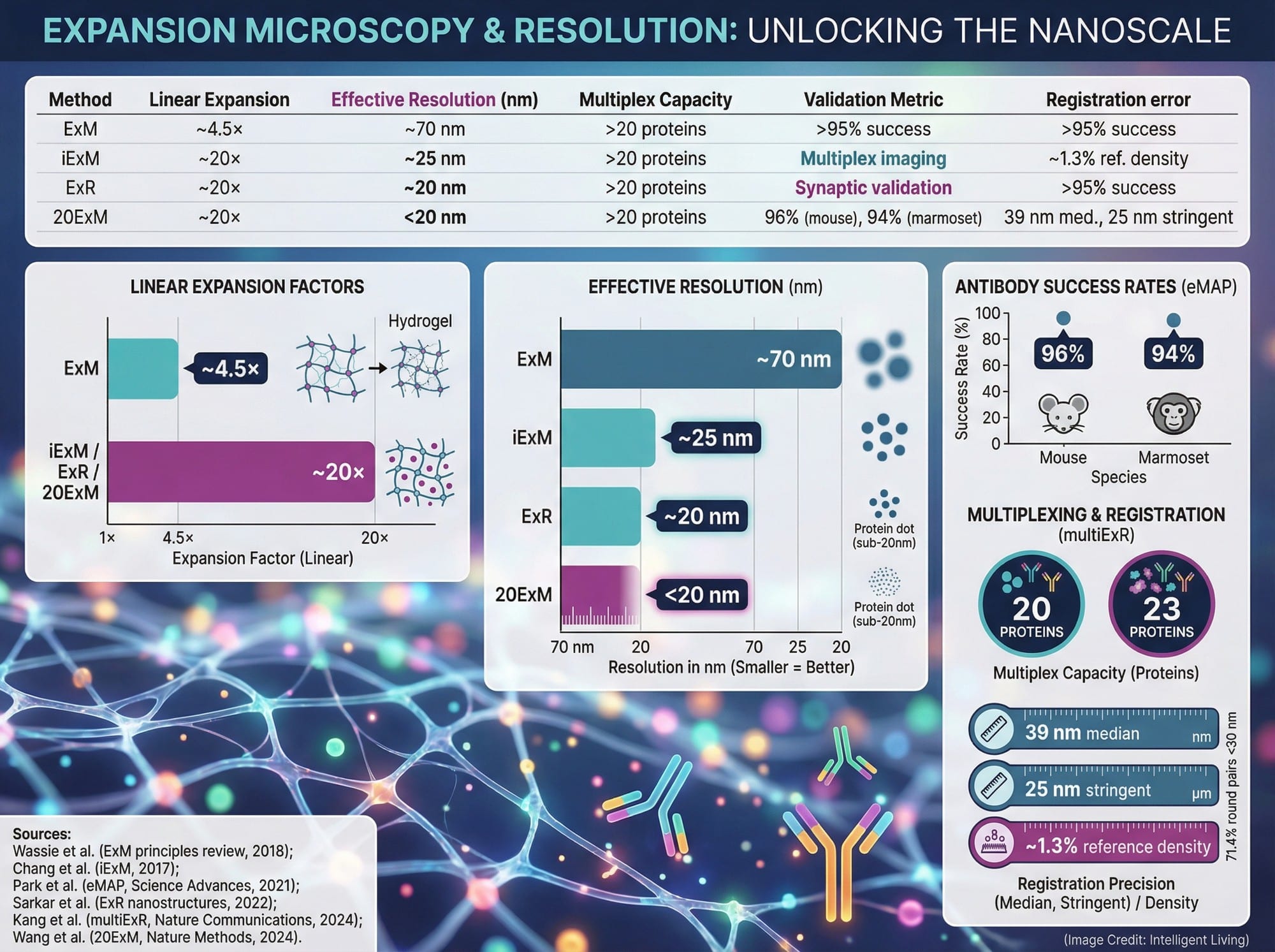 A vivid methods comparison chart showing expansion factors, effective resolution, antibody success rates, and multiplex protein counts for expansion microscopy and eMAP-style validation.