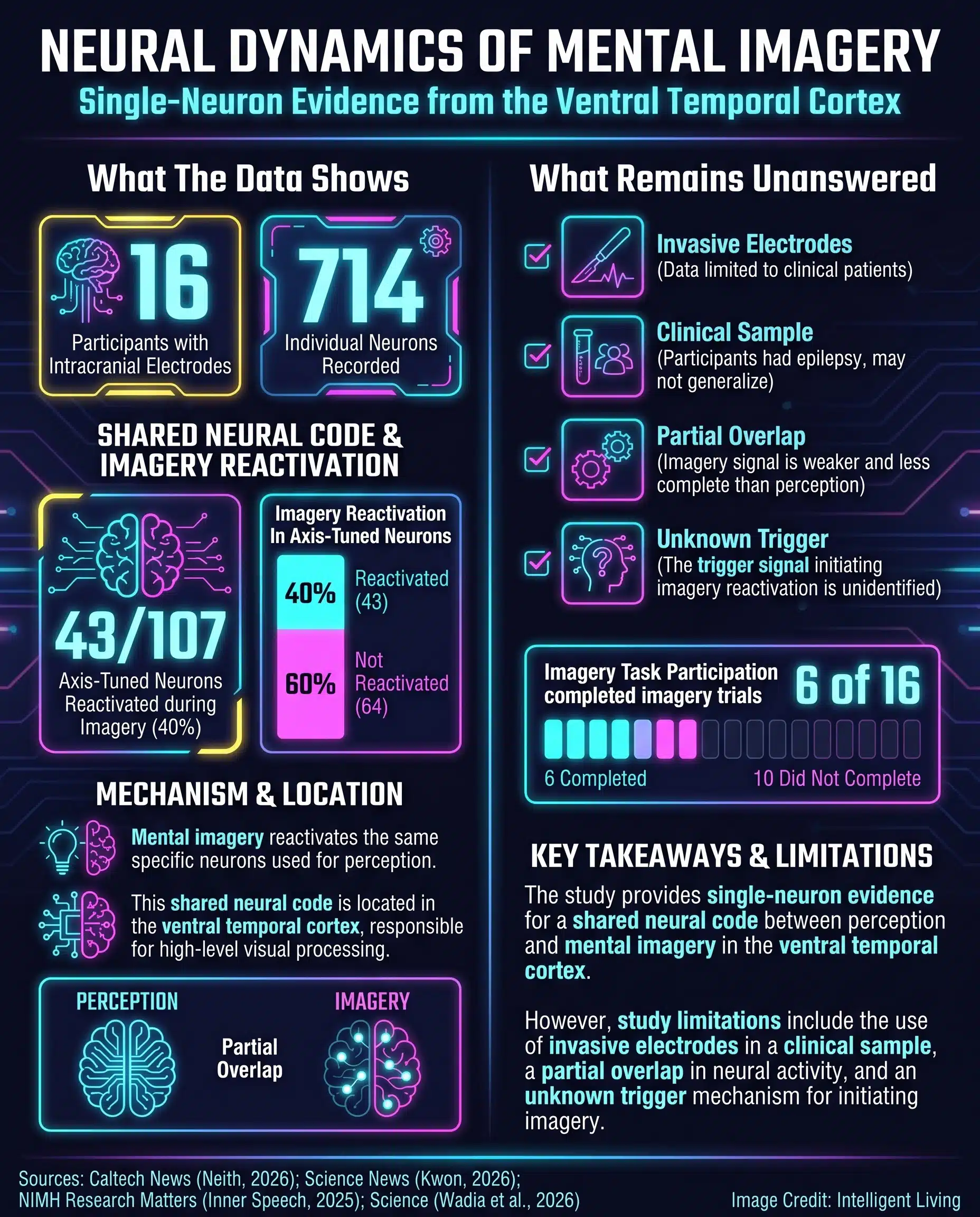 Clean comparison showing what the study demonstrates versus key limits like invasive electrodes, small clinical sample, partial reactivation, and unknown trigger signals.