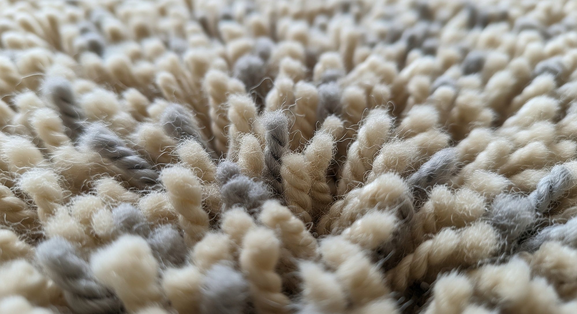 A close-up texture shot of high-quality wool shag rug fibers in neutral tones.