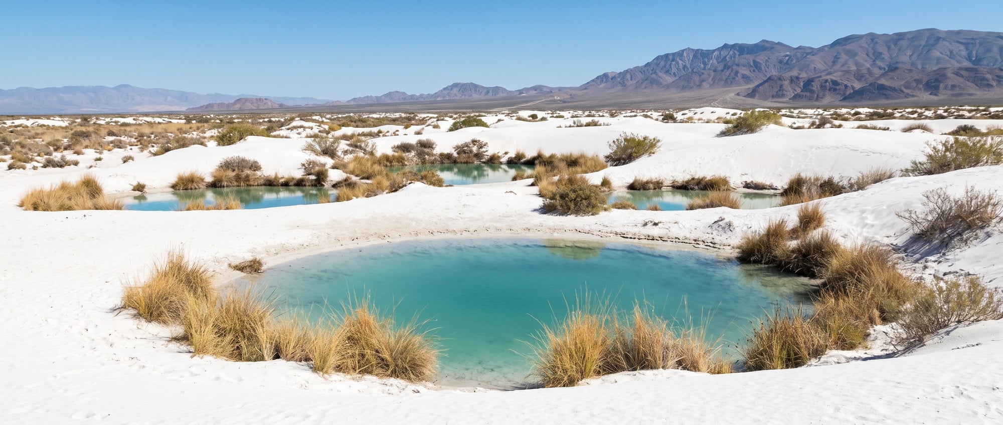 Small turquoise spring pools scattered across white gypsum flats in Cuatrocienegas Mexico