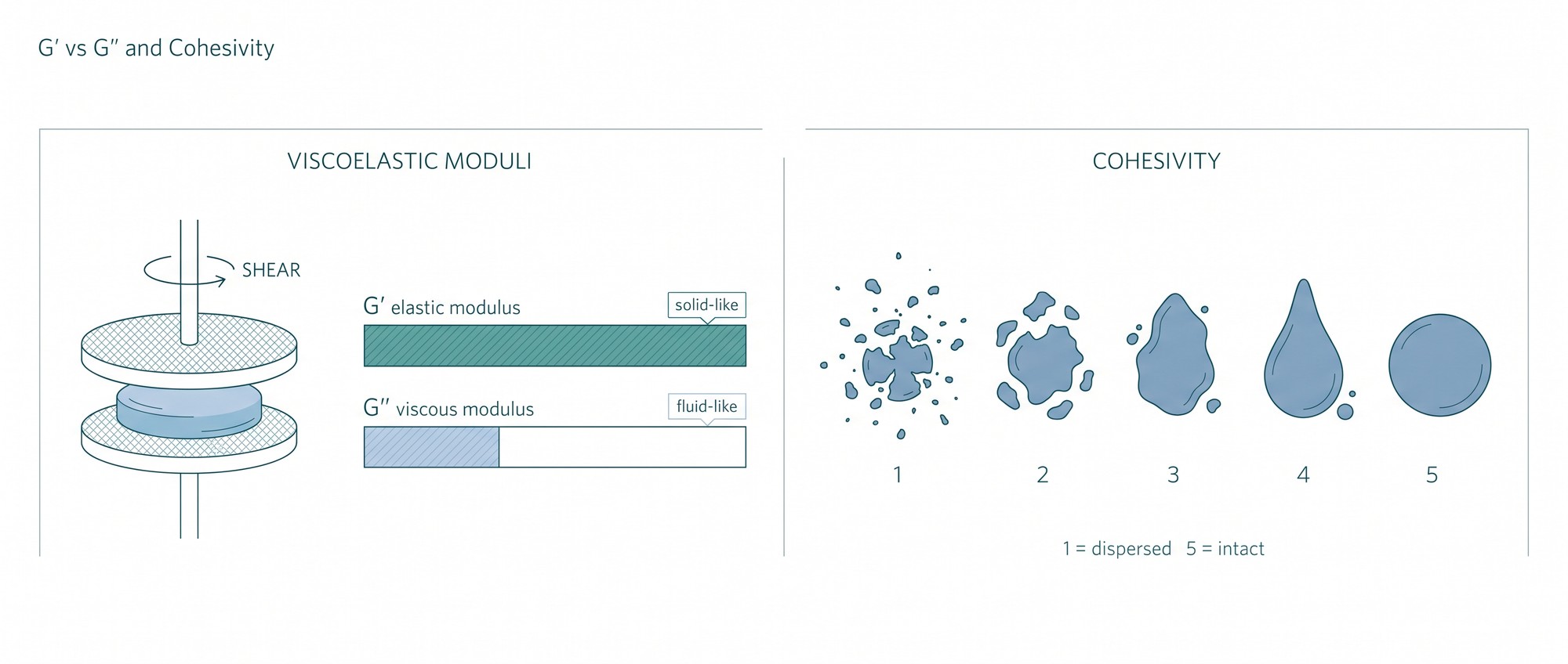 Scientific diagram comparing elastic modulus G-prime, viscous modulus G-double-prime and a five-point cohesivity grading scale