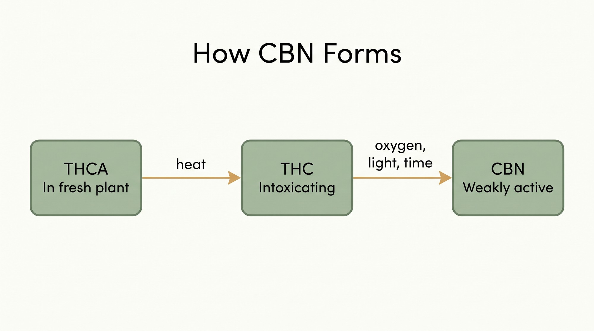 Flowchart showing how THCA becomes THC with heat, and how THC gradually converts to CBN through oxidation